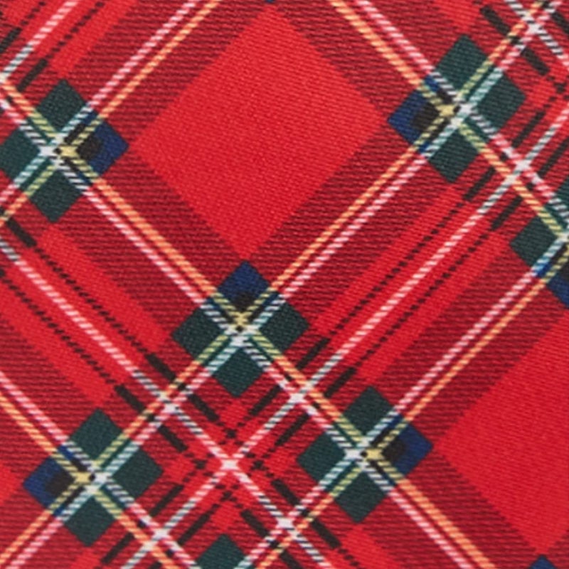 Jacob Alexander Royal Stewart Red Plaid Men's Regular Neck Tie - Image 5